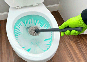 Cleaning Toilet Bowls