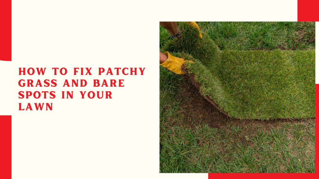 How to Fix Patchy Grass and Bare Spots in Your Lawn