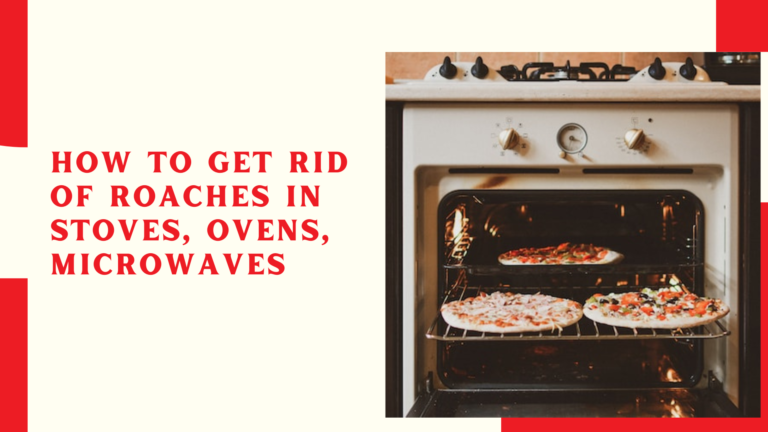 How to Get Rid of Roaches in Stoves, Ovens, Microwaves