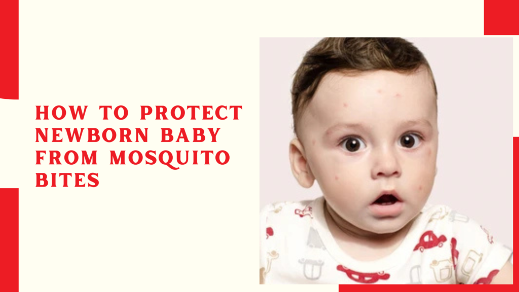 How to Protect Newborn Baby from Mosquito Bites