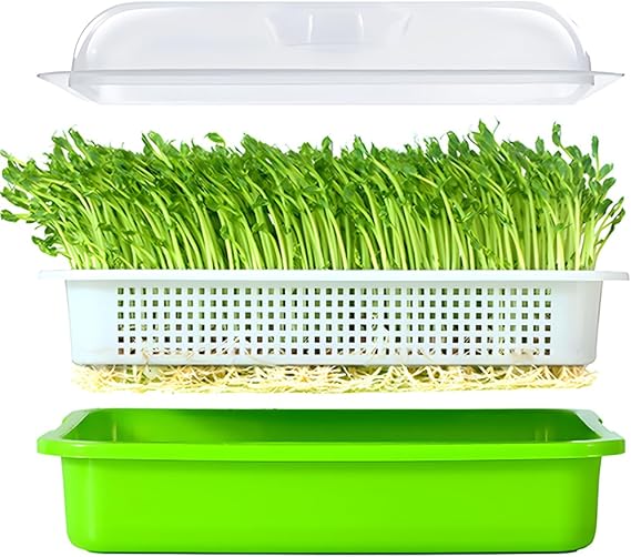 LeJoy Wheatgrass Grower with Lid Sprouting Kit