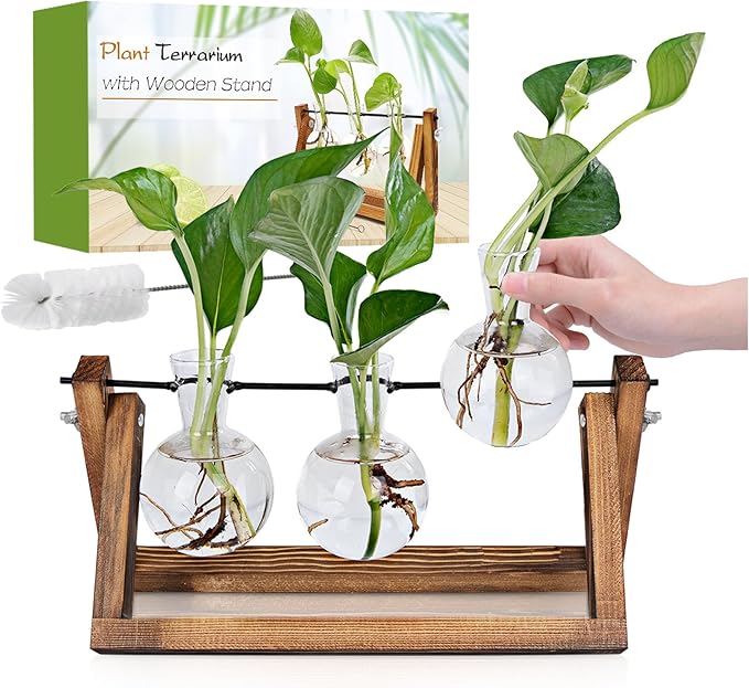 Plant Propagation Station Plant Terrarium with Wooden Stand