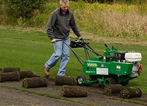 Remove All the Grass in the Problem Area