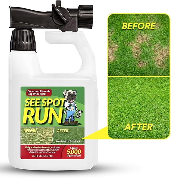 See Spot Run Eliminate Yellow Spots On Your Lawn Caused by Dog Urine