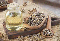 castor oil