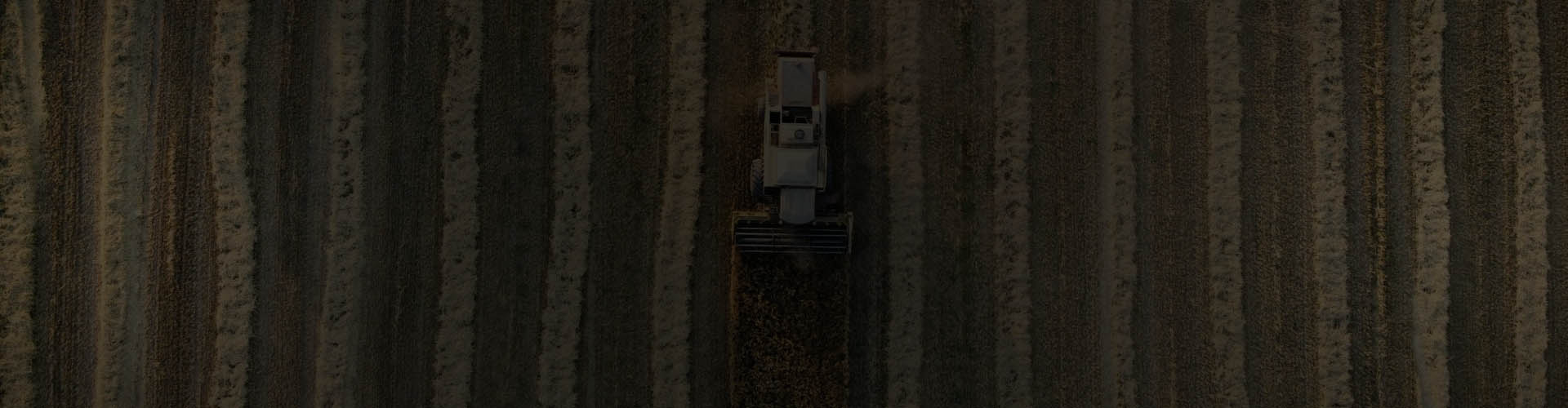 background-trakter-antallaktika